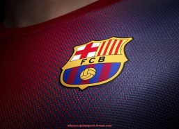 球探体育-制定世俱杯赛事赞助资金管理办法：规范资金使用与风险防控