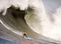 球探体育-正宗划船机类健身器材品牌及推荐理由